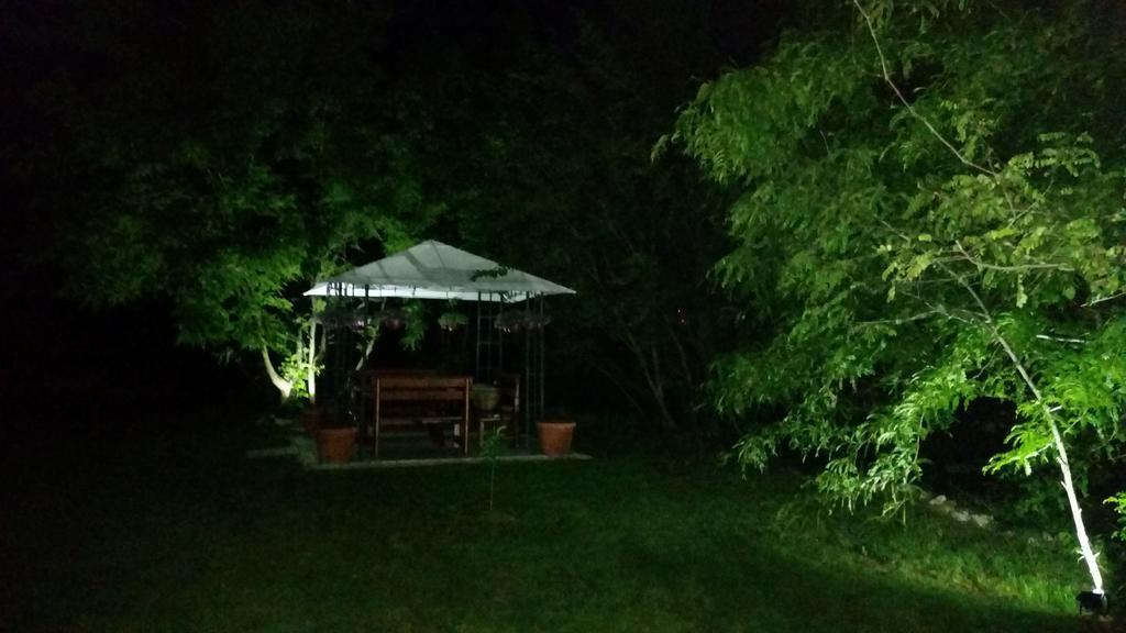 Vila Dincic Doo Veliko Gradište Dış mekan fotoğraf